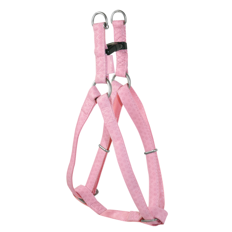 ARNES PERRO CUERO ROSA MAC LEATHER