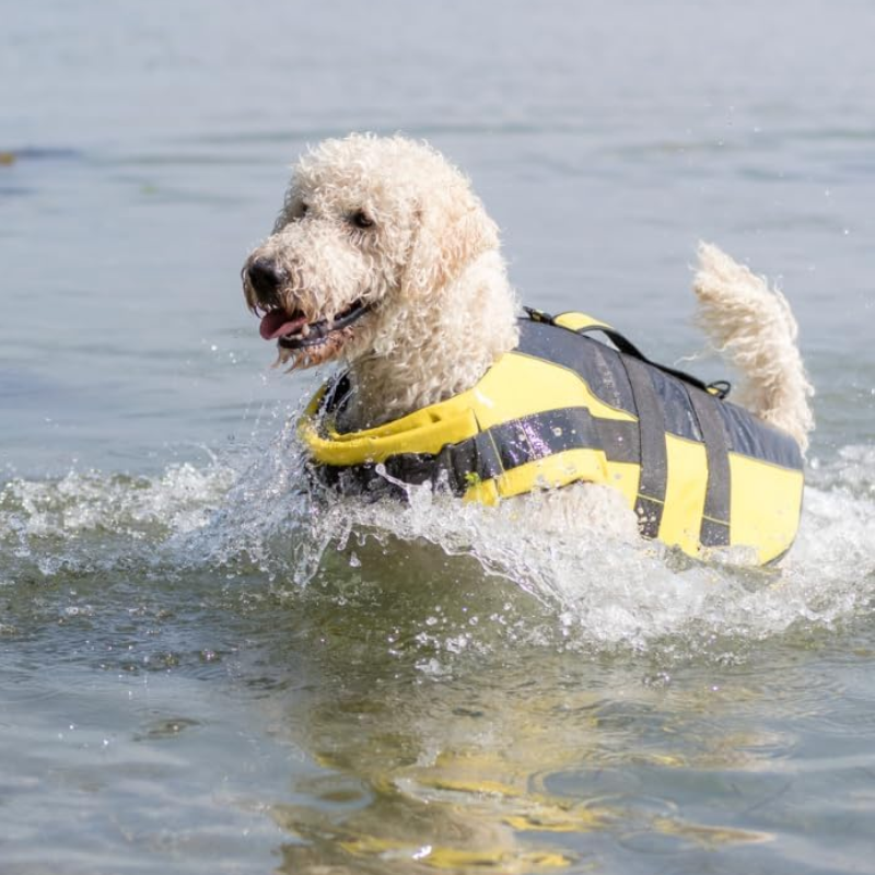 CHALECO SALVAVIDAS PARA PERROS TRIXIE