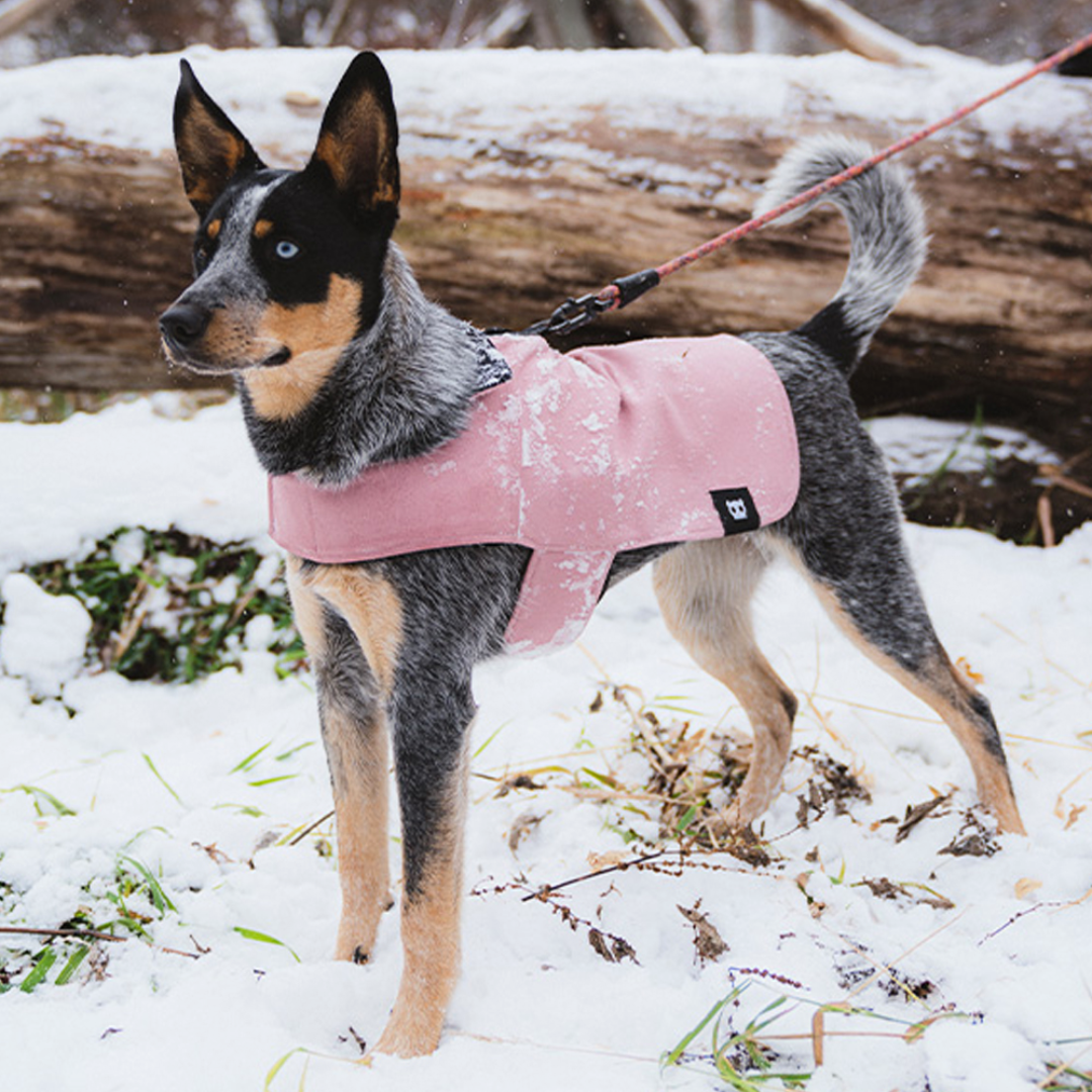 ABRIGO PARA PERROS ZEEDOG ROSA