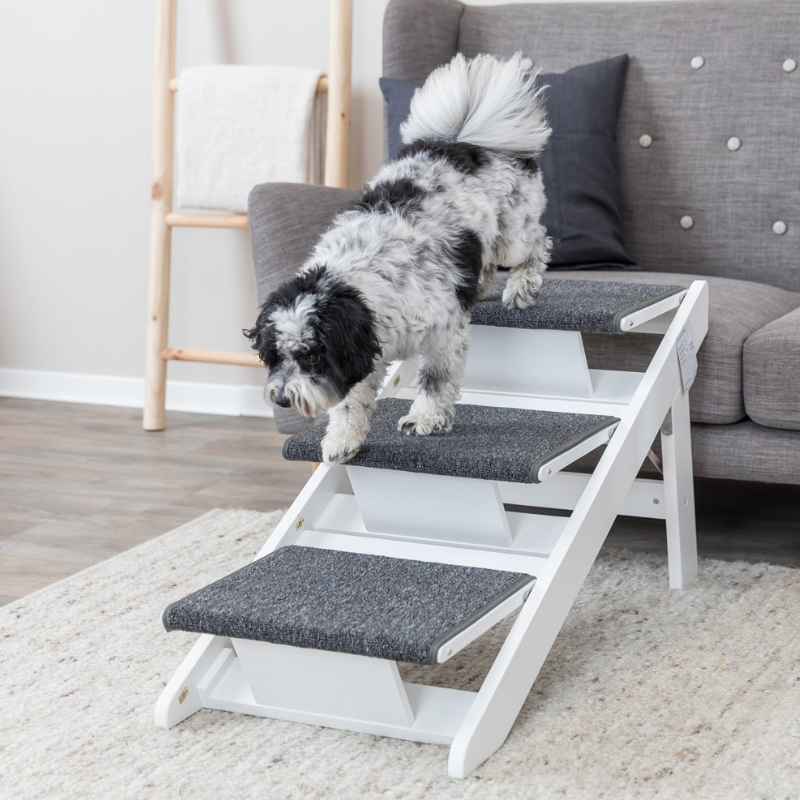 ESCALERA RAMPA ABATIBLE SOFÁ PARA PERROS Y GATOS