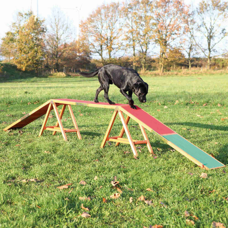 PASARELA AGILITY TRIXIE