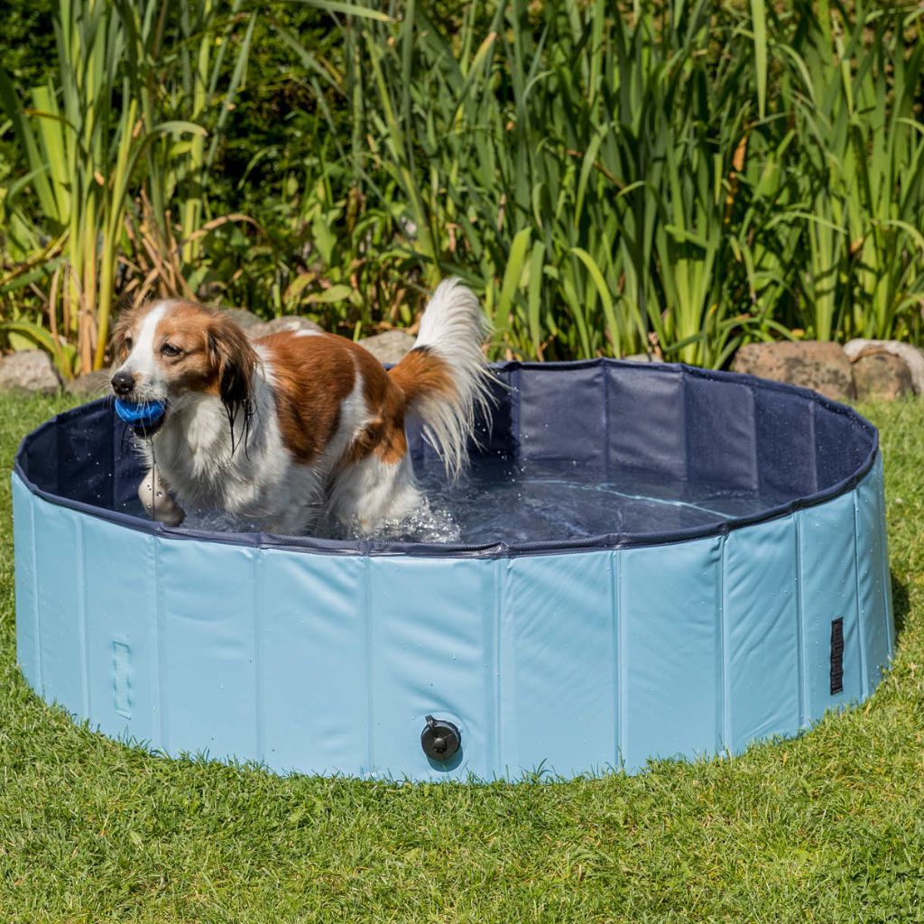 PISCINA PARA PERROS