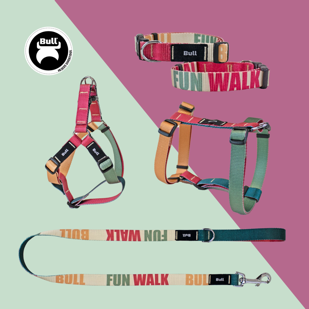 BULL ARNES PERRO NYLON COLECCION FUN WALK