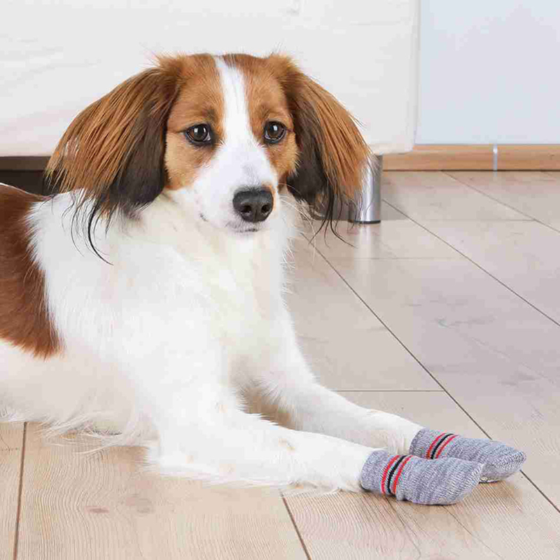 CALCETINES ANTIDESLIZANTES PARA PERROS GRIS TRIXIE