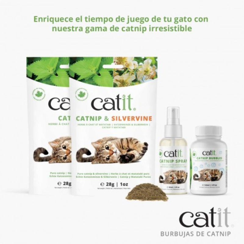 CATNIP EN BURBUJAS CATIT