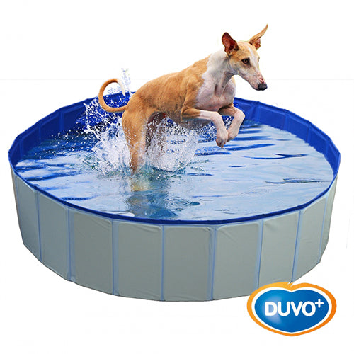 PISCINA PARA PERROS AZUL DUVO