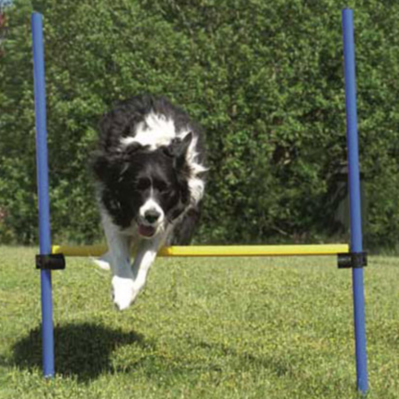 SALTO AGILITY